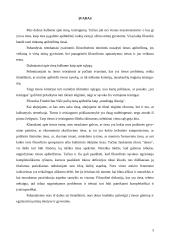 Tiesos problemos teorijos 3 puslapis