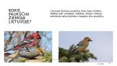 Lietuvoje žiemojantys paukščiai 2 puslapis