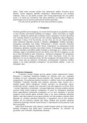 Teisingumas ir tiesos samprata 4 puslapis