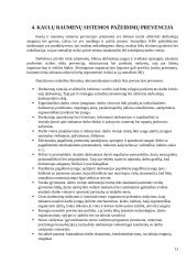 Kaulų ir raumenų sistemos pakenkimų prevencija 12 puslapis