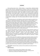 Kaulų ir raumenų sistemos pakenkimų prevencija 2 puslapis