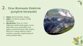 Atsinaujinantis energijos šaltinis - biokuras 13 puslapis