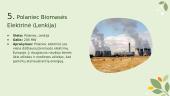 Atsinaujinantis energijos šaltinis - biokuras 16 puslapis