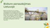 Atsinaujinantis energijos šaltinis - biokuras 17 puslapis