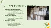 Atsinaujinantis energijos šaltinis - biokuras 18 puslapis