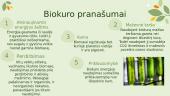 Atsinaujinantis energijos šaltinis - biokuras 7 puslapis