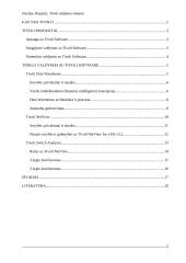 Tivoli valdymo sistema 2 puslapis