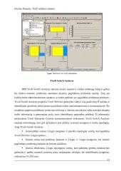 Tivoli valdymo sistema 14 puslapis