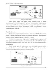 Tivoli valdymo sistema 17 puslapis