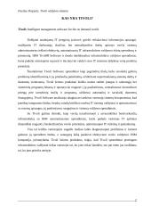 Tivoli valdymo sistema 3 puslapis