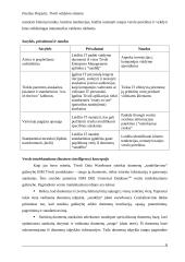 Tivoli valdymo sistema 7 puslapis