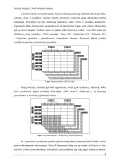 Tivoli valdymo sistema 10 puslapis