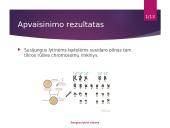 Žmogaus lytinė sistema 11 puslapis