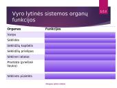 Žmogaus lytinė sistema 5 puslapis