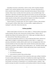 Tobulas profesinis elgesys 7 puslapis