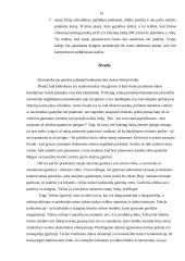 Tobulos konkurencijos rinka 14 puslapis