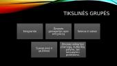 Teatro spektaklis „Emigracionieriai“ 17 puslapis