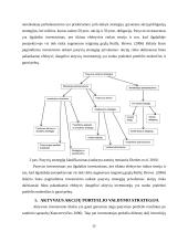 Investavimas ir portfelio valdymas 14 puslapis