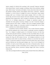 Investavimas ir portfelio valdymas 16 puslapis