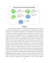 Investavimas ir portfelio valdymas 20 puslapis
