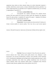 Ikistacionarinė pagalba ir slauga įtariant ūmų miokardo infarktą 10 puslapis