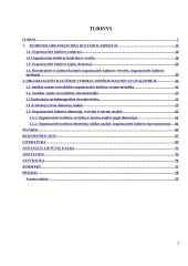 Organizacinės kultūros tyrimas Joniškio rajono savivaldybėje