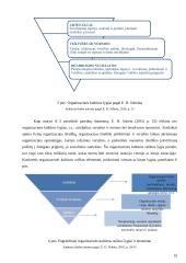 Organizacinės kultūros tyrimas Joniškio rajono savivaldybėje 20 puslapis