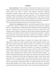 Organizacinės kultūros tyrimas Joniškio rajono savivaldybėje 5 puslapis