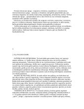 Tolerancijos idėjos raida, sritys 4 puslapis