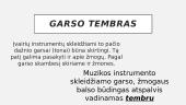 Garso apibūdinimas 4 puslapis