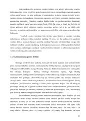 Tolydi ekonominė plėtra 19 puslapis