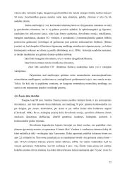 Tolydi ekonominė plėtra 20 puslapis