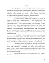 Tomas Manas. Biografija. Kūryba 14 puslapis