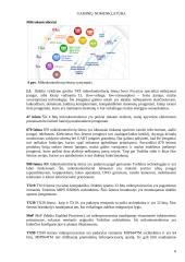 Toshiba semiconductor 7 puslapis