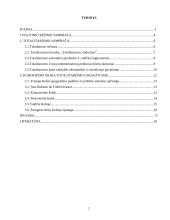 Totalitarinis režimas 2 puslapis