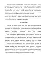 Totalitarinis režimas 15 puslapis