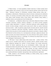 Totalitarinis režimas 17 puslapis