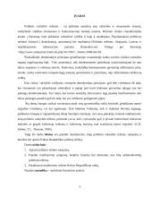 Totalitarinis režimas 3 puslapis