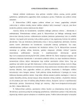 Totalitarinis režimas 4 puslapis