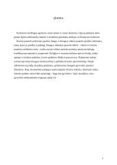 Tradicijos ir alkoholio vartojimas Lietuvoje 3 puslapis