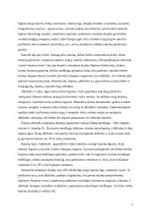 Tradicijos ir alkoholio vartojimas Lietuvoje 5 puslapis