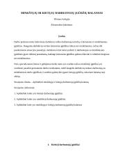 Minkštųjų ir kietųjų darbuotojų įgūdžių balansas