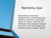Narkotikų problemos Lietuvoje 2 puslapis