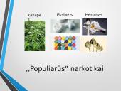 Narkotikų problemos Lietuvoje 7 puslapis
