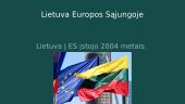 Europos Sąjunga. Skaidrės 12 puslapis