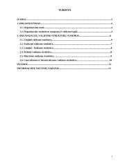 Tradiciniai valdymo organizacinių struktūrų tipai ir jų pritaikymo galimybės 2 puslapis