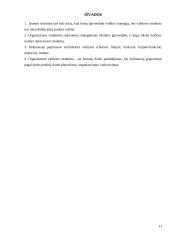 Tradiciniai valdymo organizacinių struktūrų tipai ir jų pritaikymo galimybės 12 puslapis