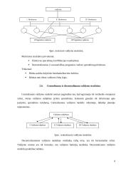 Tradiciniai valdymo organizacinių struktūrų tipai ir jų pritaikymo galimybės 10 puslapis