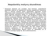 Bylų nagrinėjimo ypatumai apeliacinės instancijos teisme 8 puslapis