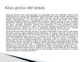 Ypatingoji teisena (skaidrės) 15 puslapis